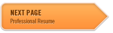 Next Page - Professional Resume