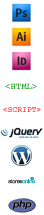 Skills icons
